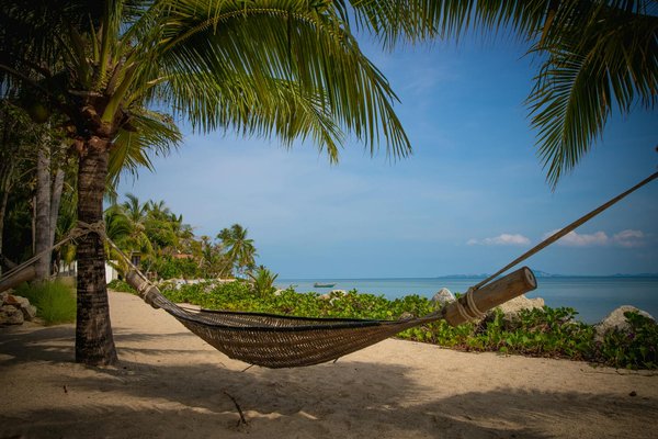 Comment planifier une croisière pour un voyage en solo ?